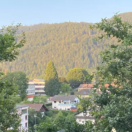 Apartment Baerenfelsblick Wehr (Baden-Wurttemberg)